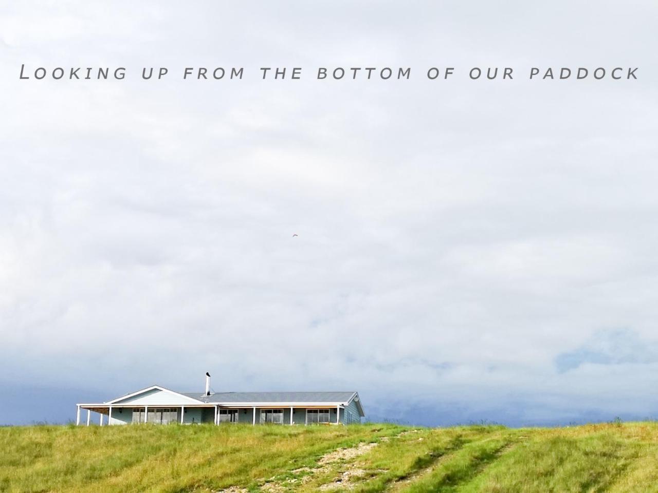 Kahurangi Twizel Hosted Bed & Breakfast מראה חיצוני תמונה